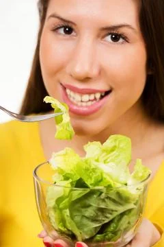 Lettuce salad. Stock Photos