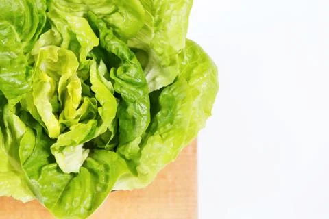 Lettuce salad. Фото