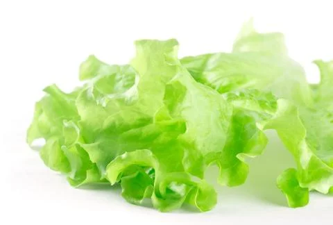 Lettuce salad Stock Photos