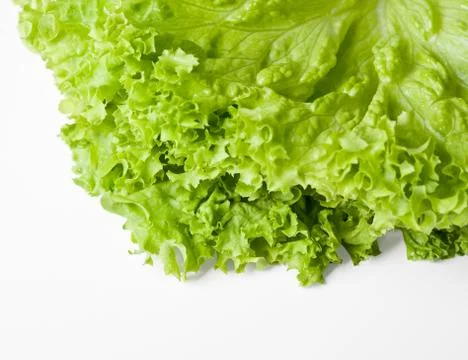 Lettuce salad Foto stock
