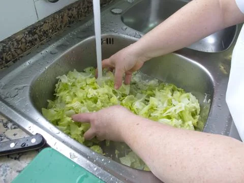 Lettuce sanitizing Foto stock