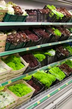 Lettuce section Stock Photos