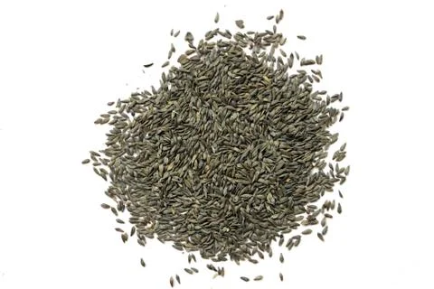 Lettuce  seed  background Stock Photos