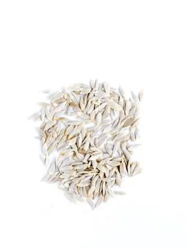 Lettuce seed Stock Photos