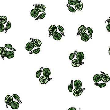 Lettuce slice food cut vector seamless pattern Stock Illustration