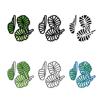 Lettuce slice multistyle food cut color icon vector Stock Illustration
