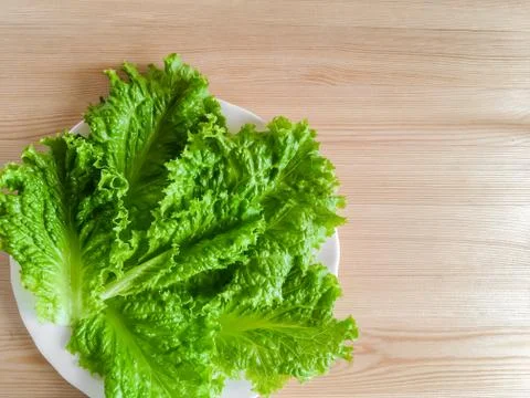 Lettuce on the table Stock Photos