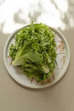 Lettuce on a tray Stock Photos