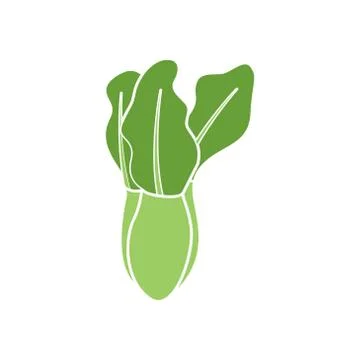 Lettuce vector design template illustration 스톡 일러스트