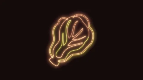 Lettuce Vegetable Icon Neon Seamless Loop with Black Background 4K 스톡 동영상 311433364