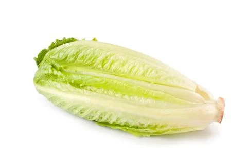 Lettuce vegetable on white background Fotos Stock