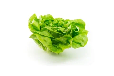 Lettuce on white background Stock Photos