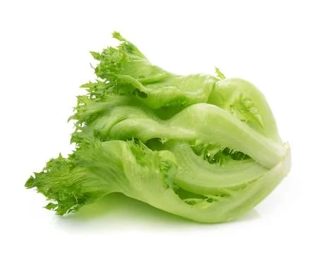 Lettuce on white background Stock Photos