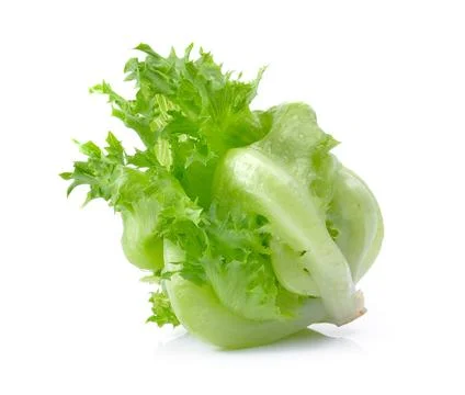 Lettuce on white background Stock Photos