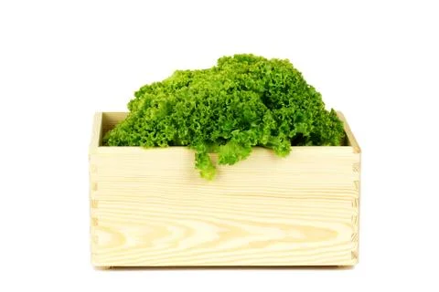 Lettuce on white background Stock Photos