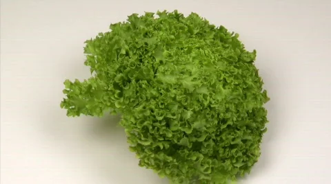 Lettuce zoom in Stock Footage