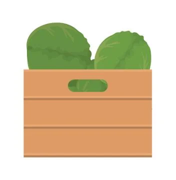 Lettuces inside box vector design Illustrazione stock