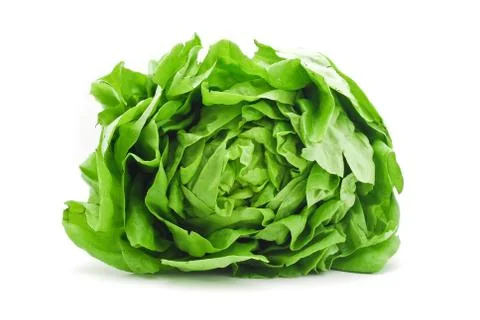 Letuce Stock Photos