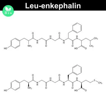 Leu-enkephalin molecular structure Stock Illustration