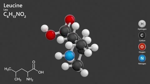 Leucine (C6H13NO2). Gray back. 3d render Stock Footage 288017124