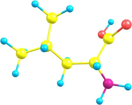 Leucine molecular structure on white background Stock Illustration