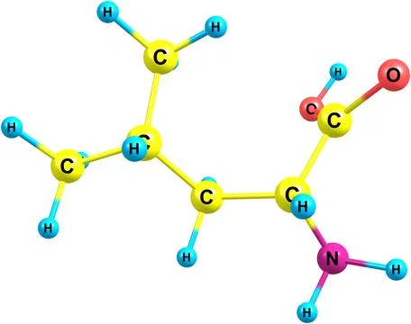 Leucine molecular structure on white background Stock Illustration