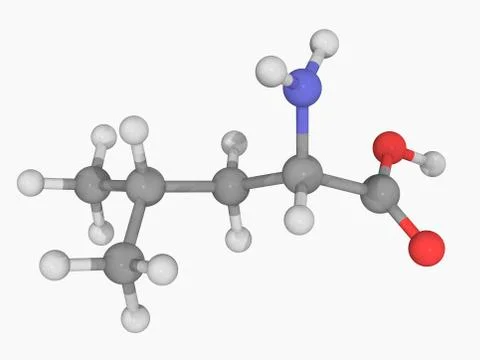 Leucine molecule Illustrazione stock