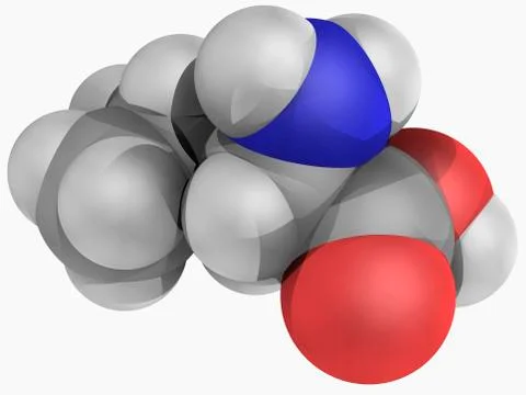 Leucine molecule Illustrazione stock