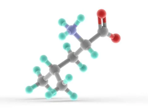 Leucine molecule Illustrazione stock