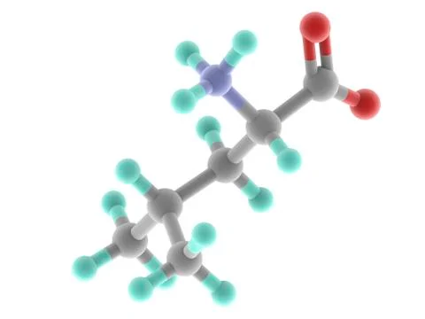 Leucine molecule Illustrazione stock