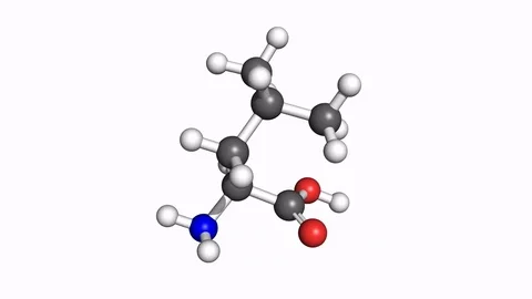 Leucine molecule, rotating model Stock Footage 79799688