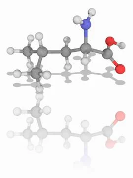 Leucine organic compound molecule Illustrazione stock