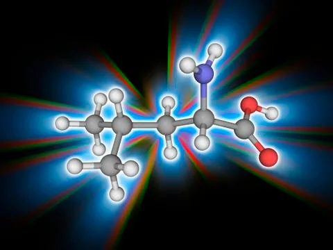 Leucine organic compound molecule Illustrazione stock