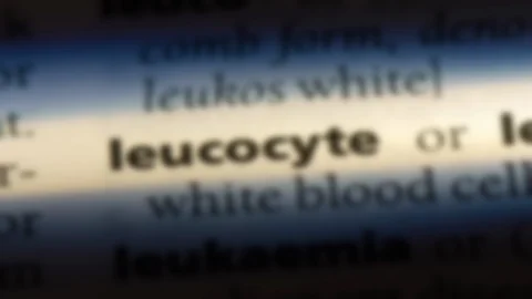 Leucocyte word in a dictionary. Stock Footage 99562165