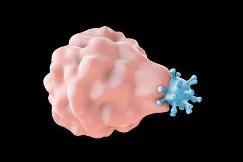Leukocyte engulfing virus Stock Illustration