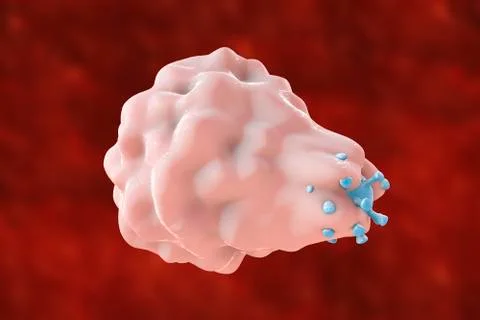 Leukocyte engulfing virus Stock Illustration