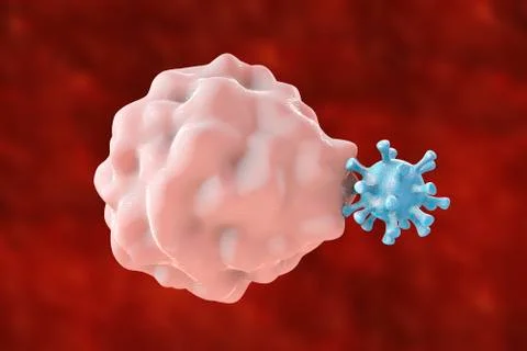 Leukocyte engulfing virus Stock Illustration