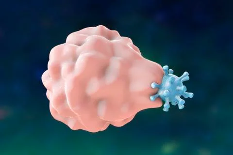 Leukocyte engulfing virus Stock Illustration