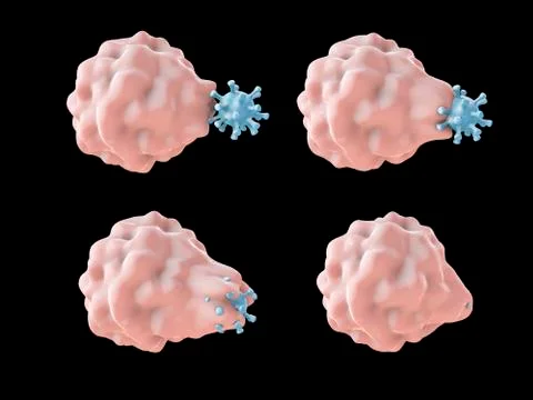 Leukocyte engulfing virus Stock Illustration