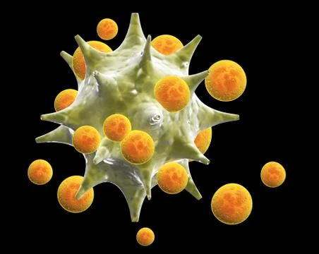 Leukocytes attack the pathogen virus Stock Photos