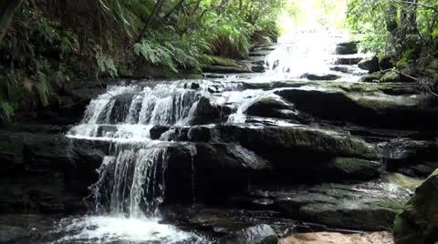 Leura Cascades Stock Footage 25489538