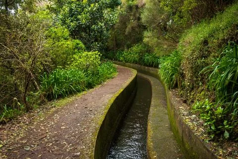 Levada and footpath in laurel forest, Madeira Island, Portugal Stock-Fotos