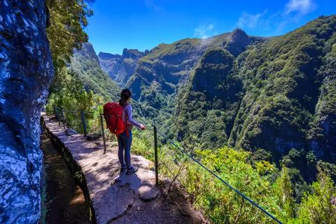 Levada do Caldeiro - hiking path in the forest in Levada do Caldeirao Verde T 库存照片
