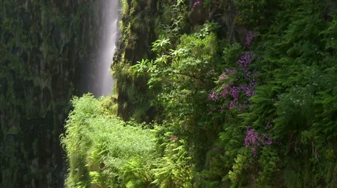 Levada do Risco, Waterfall Risco – Madeira, Portugal Stock Footage 29888878