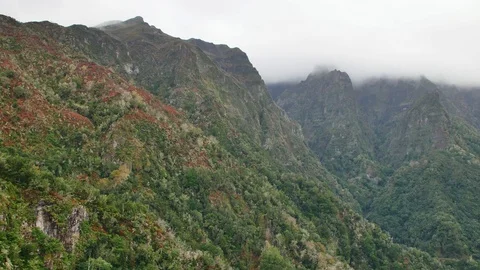 Levada dos Balcões. 库存影片 103099524