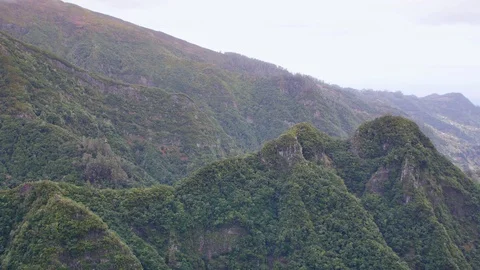 Levada dos Balcões. Stock Footage 103099577