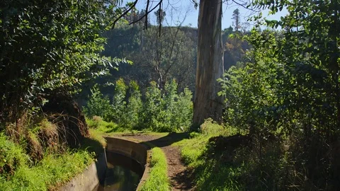 Levada  dos Tornos, Madeira. Stock-Footage 102661781