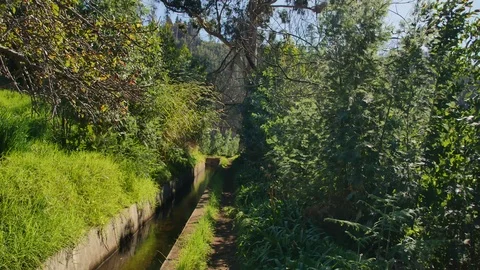 Levada  dos Tornos, Madeira. Видео 102662030