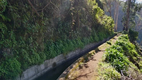 Levada  dos Tornos, Madeira. Vídeos de archivo 102662426