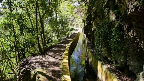 Levada  dos Tornos, Madeira. Видео 102664442